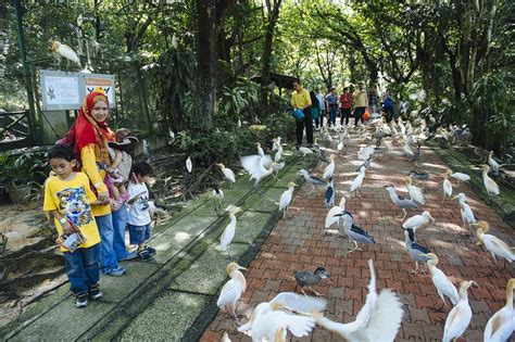 Menarik Kl Bird Park Tawar Promosi Tiket Masuk Serendah Rm Seorang