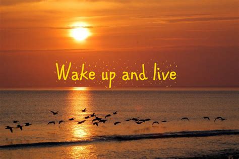 Nature Notes: Wake up and live