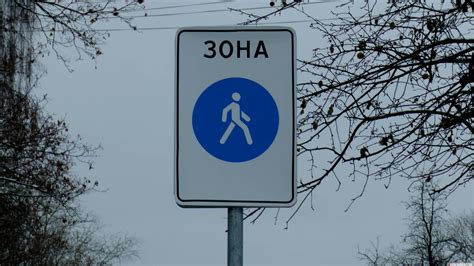 Жители Новой Зеландии решили избавиться от транспорта в центре столицы ...