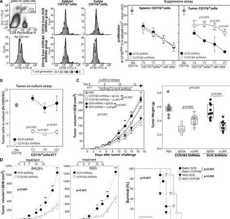 Ccr1 And Ccr5 Mediate Cancer Induced Myelopoiesis And Differentiation