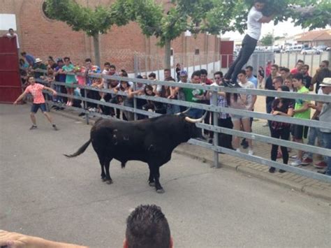 Medina Del Campo Prepara Su Feria De Espect Culos Taurinos La Voz De