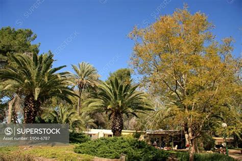 Kibbutz Nir Oz In Besor Region Superstock