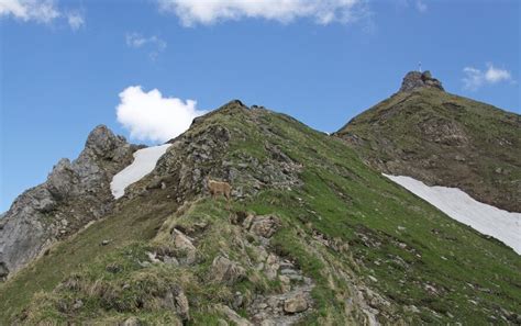 Kleinwalsertal 26 jähriger Wanderer tödlich abgestürzt Aktuelle