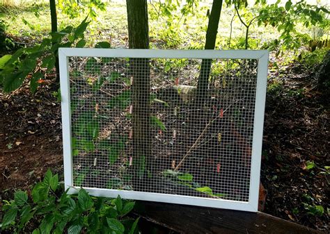 Farmhouse Chicken Wire Frames Square Chicken Wire Frames Etsy