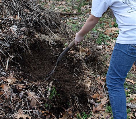 The Benefits Of Composting Why You Should Amend Your Soil