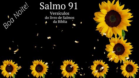 Vers Culos De Salmo Do Livro De Salmos Da B Blia Boa Noite Youtube