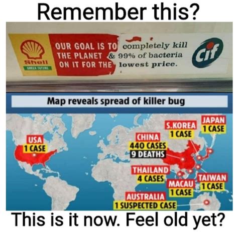 Shell and CIF have done it! : r/memes