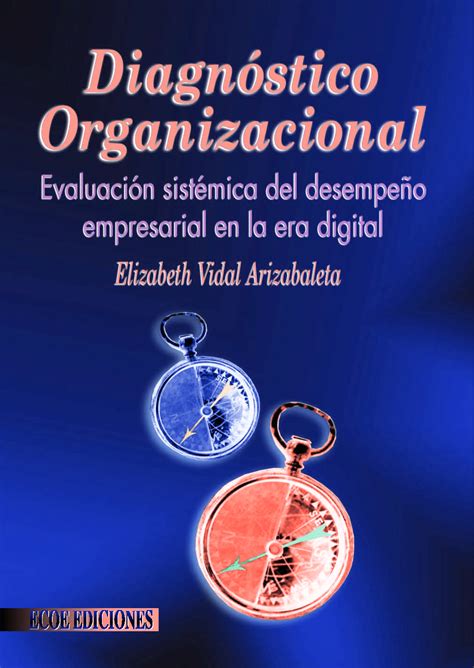 Solution Diagn Stico Organizacional Evaluaci N Sist Mica Del Desempe O Empresarial En La Era