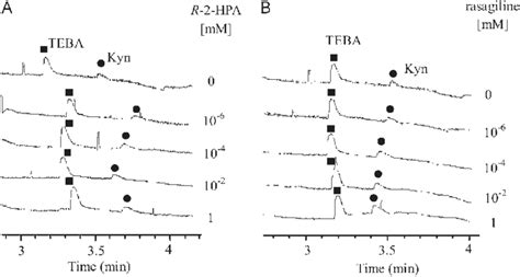 A Representative Set Of Electropherograms Of Kyn And Teba In The