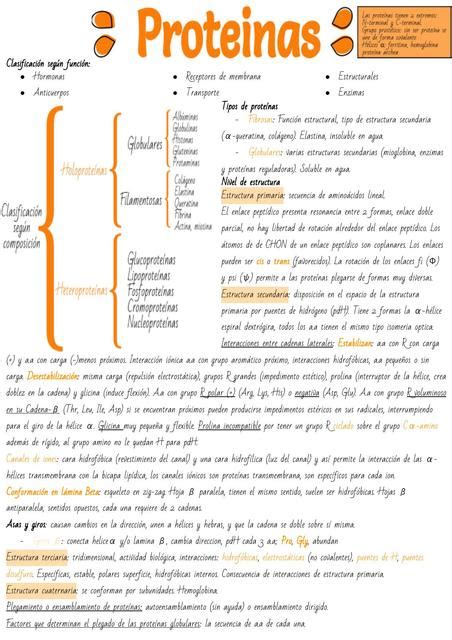 Proteínas Carolina López uDocz