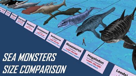 Sea Monsters Size Comparison | Sea monsters, Sea creatures, Creatures