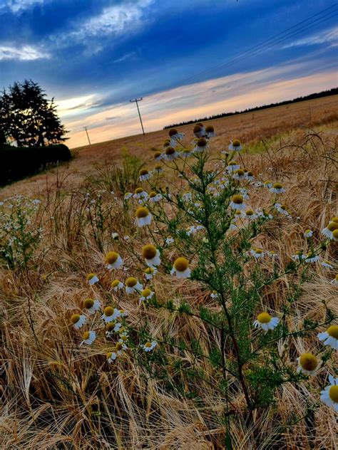 Abendtour Von Erbach Zum Zollamt Boxbrunn Oldtimer Flickr