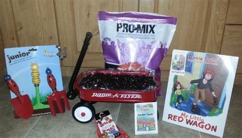 My Little Red Wagon garden Kit