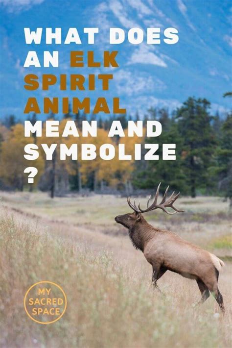 What Does A Wolf Spirit Animal Mean And Symbolize My Sacred Space Design