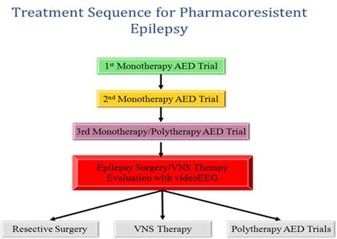 Epilepsy And Treatment Department Of Neurology College Of Medicine