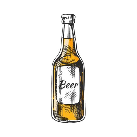 Hand Drawn Sketch Of Beer Bottle Isolated On White Background Vector