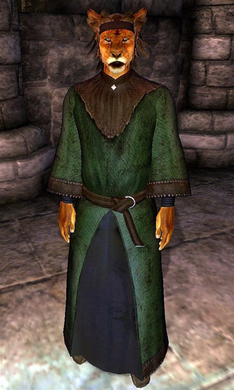 Khajiit Oblivion The Elder Scrolls Wiki