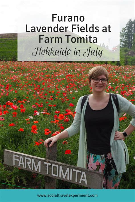 Furano Lavender Fields at Farm Tomita - Hokkaido in July