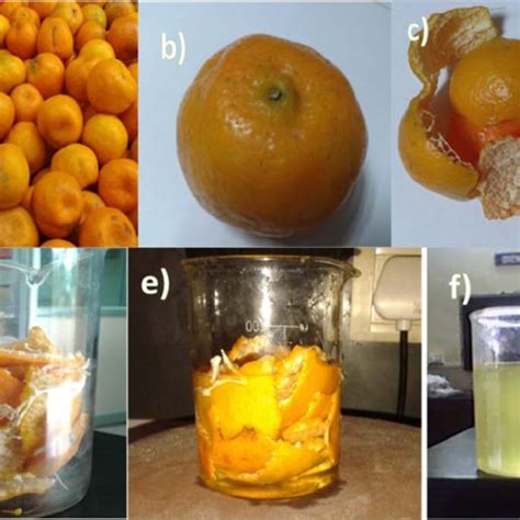 Pdf Synthesis Of Tio Nanoparticles From Orange Fruit Waste