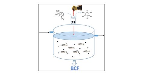 Deriving in Vivo Bioconcentration Factors of a Mixture of Fragrance ...