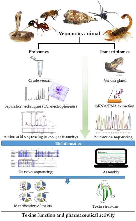 Figure 1 From Advances In Venomics Modern Separation Techniques And