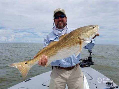 Best Times Seasons To Fish In Port St Joe A Full Guide