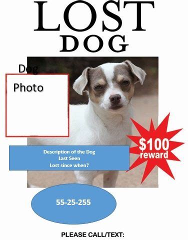 Free Lost Pet Flyers [Missing Dog / Cat Poster Templates] - Best ...