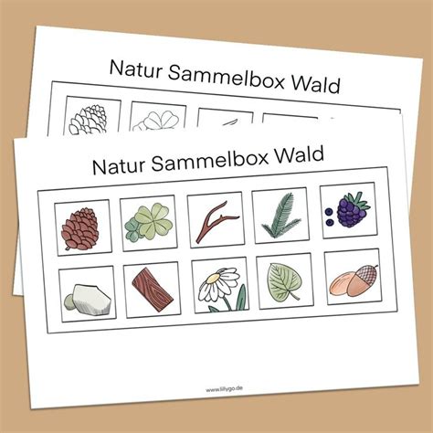 Natur Sammelbox Wald Eierkarton Vorlage Zum Ausdrucken Als Pdf