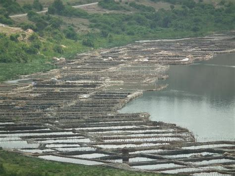 Lake Katwe Salt Works Queen Elizabeth National Park