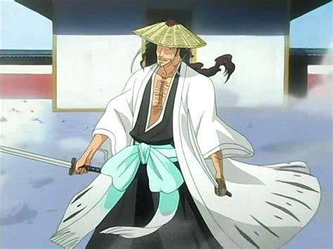 Archivoshunsui Esgrime Sus Zanpakuto Bleach Wiki Fandom