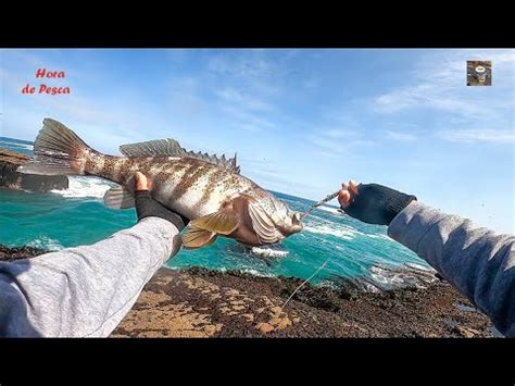 Jigging De Orilla Una T Cnica De Pesca Super Efectiva Amazing