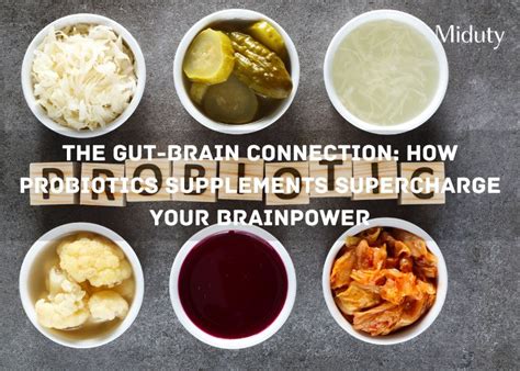 Unlock Your Brains Potential With Probiotic Supplements For Enhanced