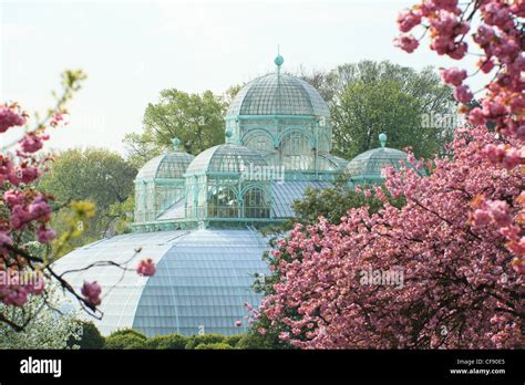 Belgium Brussels Laeken The Royal Castle Domain The Greenhouses Of