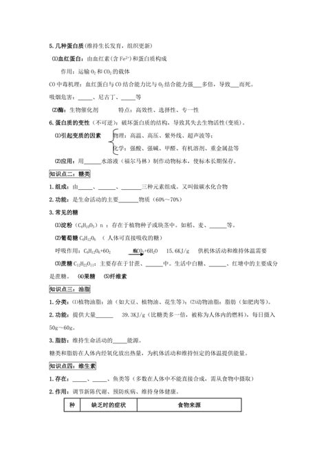 九年级化学下册 第十二章《化学与生活》导学案（无答案） 新人教版