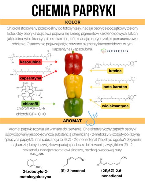 Chemia papryki 5 rzeczy które warto wiedzieć Motywator Dietetyczny