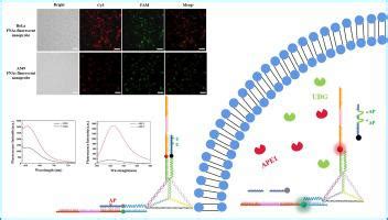 Dna Microchemical Journal X Mol