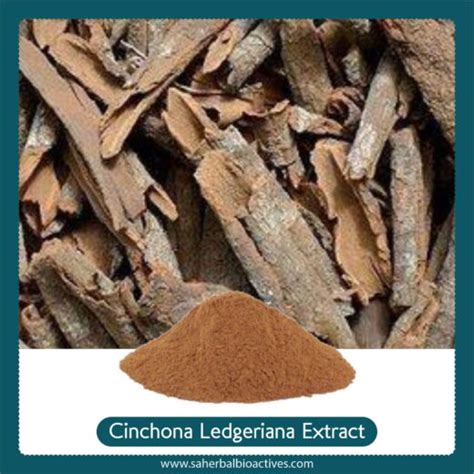 Cinchona Ledgeriana Extract Sa Herbal Bioactives