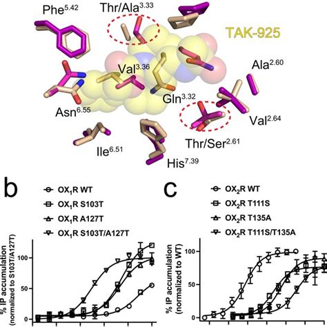 Structural Basis For High Selectivity Of TAK 925 For OX2R A Overlay Of