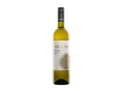 bile vino pripravene  odrudy hibernal vas prekvapi svou chuti