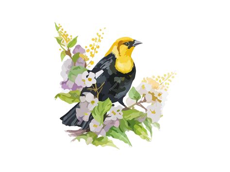 Premium Vector Watercolor Yellowheaded Scotts Oriole Bird Hand Drawn