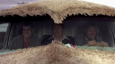 Dumb and Dumber - Mockingbird on Make a GIF