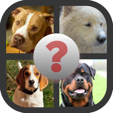 Dog Breed Quiz:Amazon.com:Appstore for Android