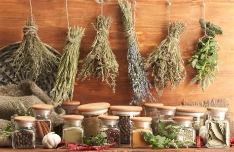 Dry Herbs At Home Ultimate Guide For Medicinal And Aromatic Plants