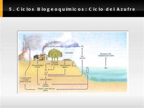 Ciclos Biogeoquímicos Y Evolución De Ecosistemas Ppt