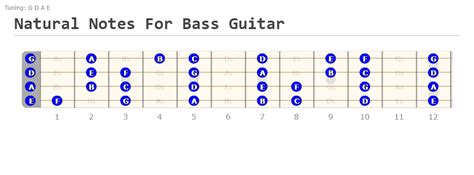 Bass Notes on Neck | Easily Learn the Fretboard - playelectricbass.com