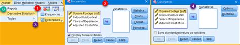 Descriptive Statistics In SPSS