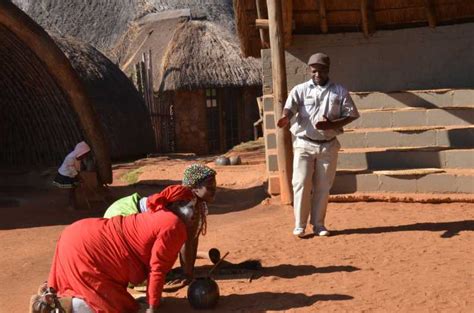 Durban Phezulu Cultural Village And Reptile Park Tour Getyourguide