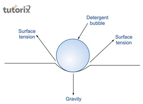 Detergents And Surface Tension