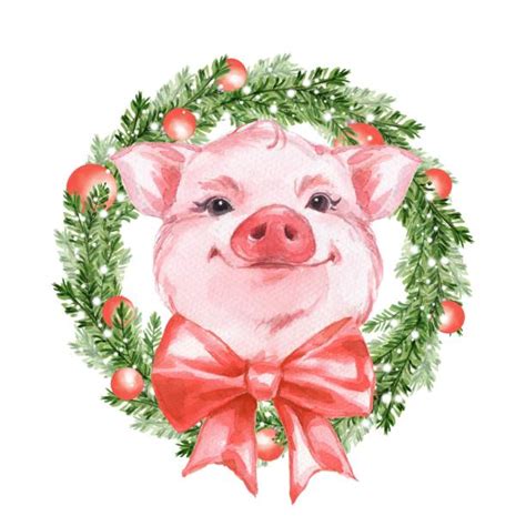 13,400+ Christmas Pig Stock Photos, Pictures & Royalty-Free Images - iStock