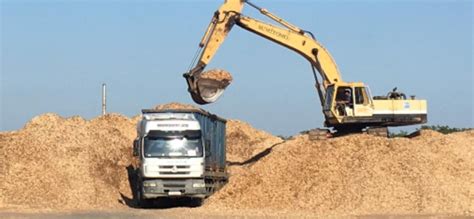 Wood Chips Vietnam Acacia Eucalyptus Melaleuca Rubber Wood For Making Pulp Biomass Fuel High